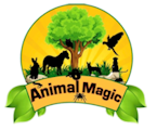 Animal Magic Birthday Parties Home Page